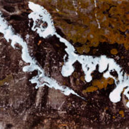 photograph of seaside rocks with water foam effect painted on top.