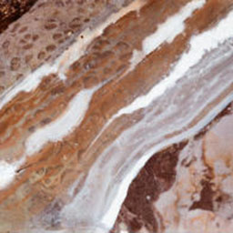 photograph of seaside rocks with water foam effect painted on top.