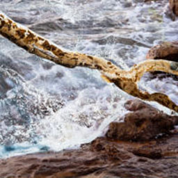 photograph of seaside rocks with water foam effect painted on top.