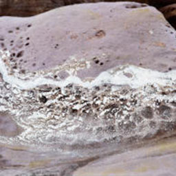 photograph of seaside rocks with water foam effect painted on top.