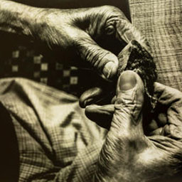 close-up two frail, wrinkled hands holding small object, black and white photograph.