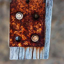 close-up of four rusty bolts in metal hinge on wooden plank.