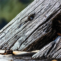 natural plank of wood with nail ingrained in the centre.