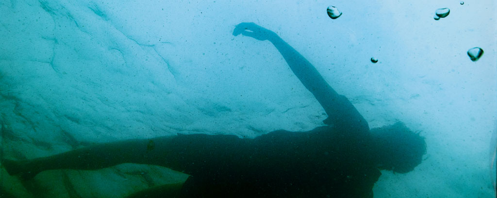 collection of five light boxes with photographs of an individual diver swimming underwater