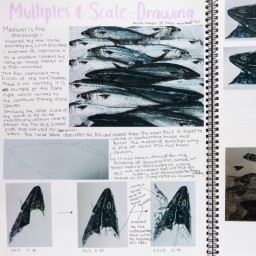 Close up of visual arts diary displaying photos of fish and planning notes for a body of work