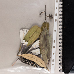 Close up of visual arts diary displaying progress images for a body of work